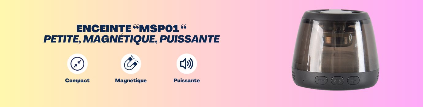Banniere SIte Web MSP01